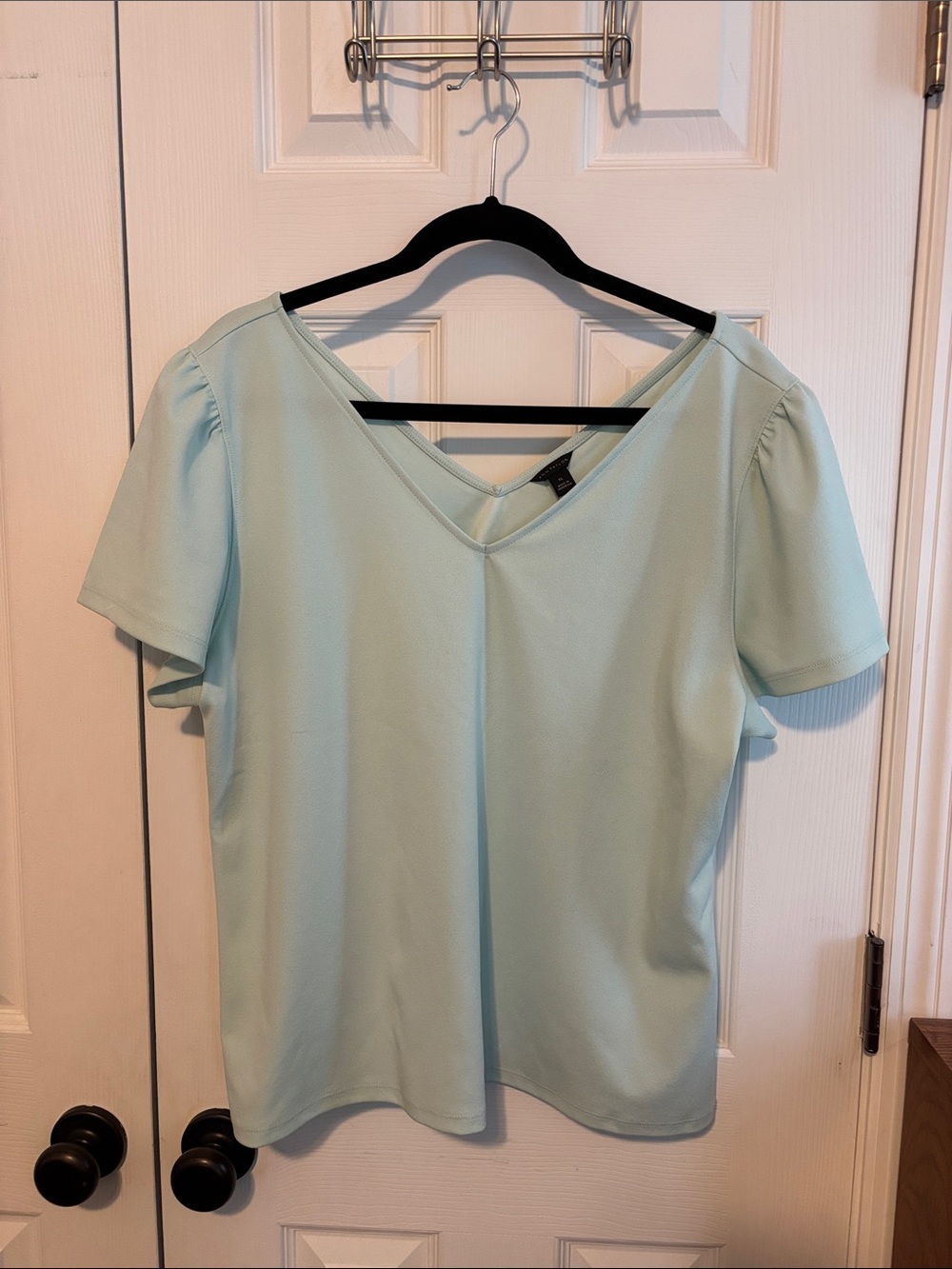 Ann Taylor Mint V-Neck Short Sleeve Top